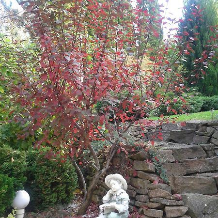 Cecey Vendeghaz Bed & Breakfast Eger Bagian luar foto